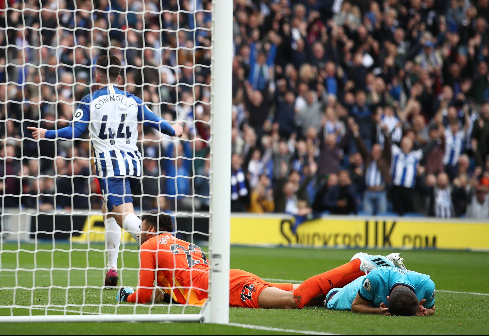 得到了一片 得到了一片